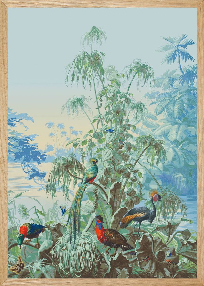 Autres décorations murales - Illustration Le Brésil : le bal des oiseaux - PARADISIO IMAGINARIUM