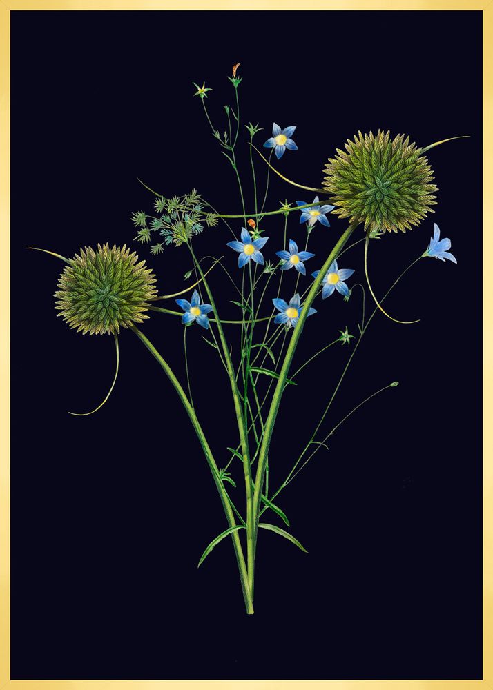 Other wall decoration - Wall art Bouquet of field flowers black background - PARADISIO IMAGINARIUM