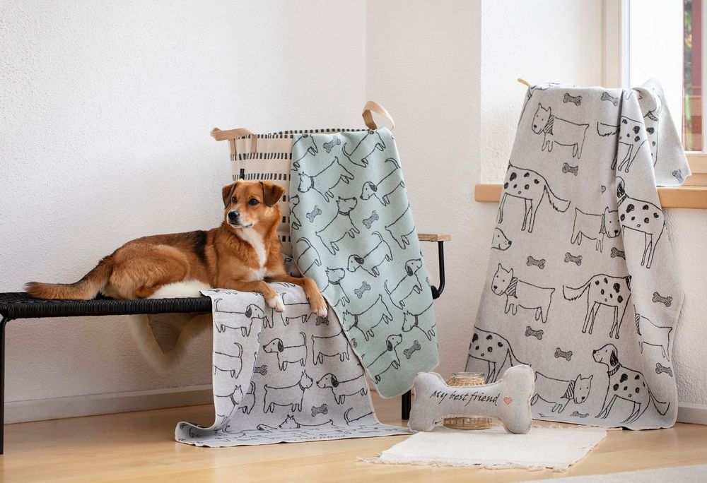Cushions - pet blankets and accessories - DAVID FUSSENEGGER