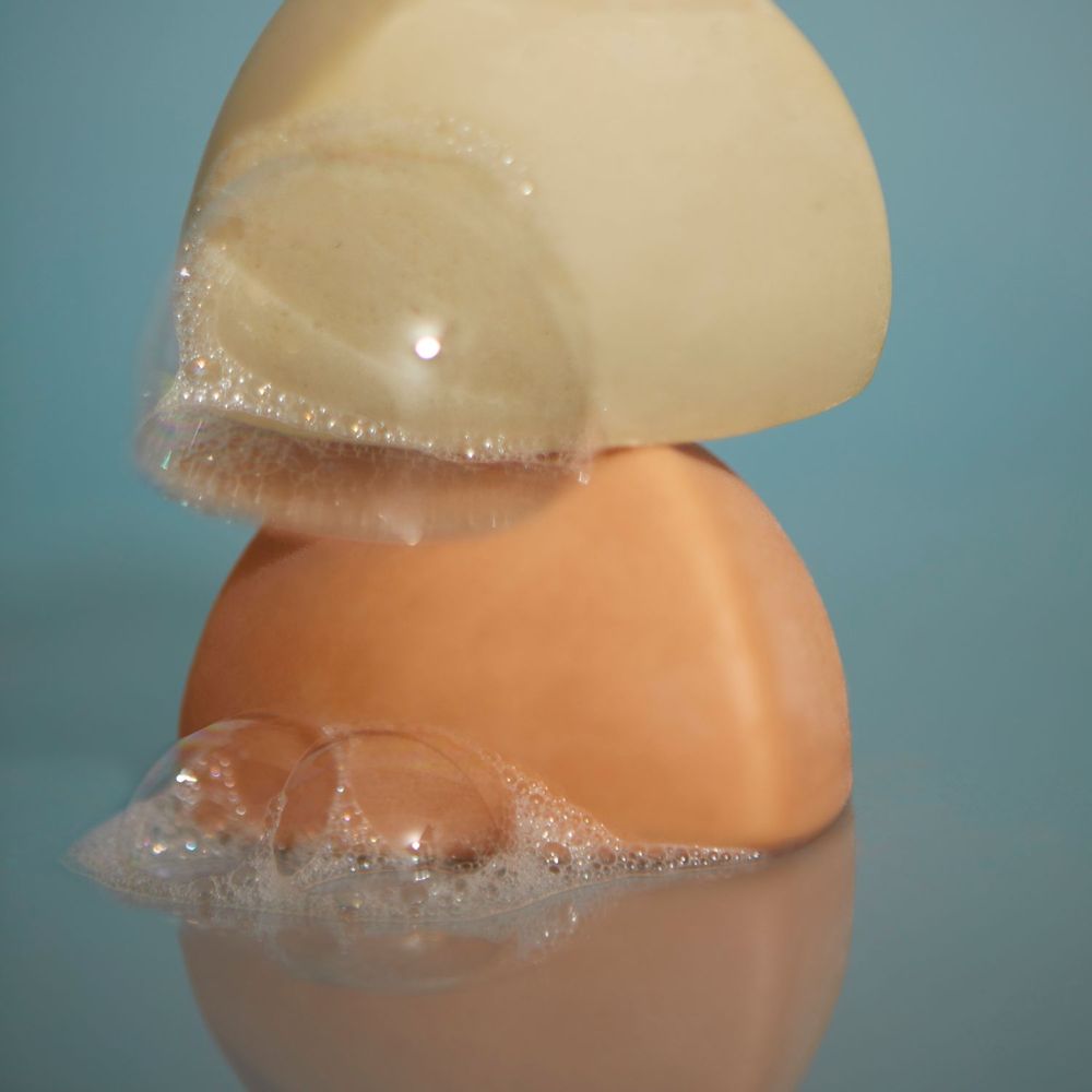 Beauty products - Solid shampoo - All hair - CHAMARREL