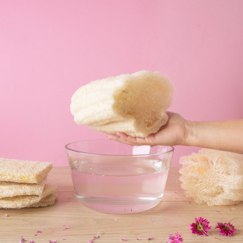 Homewear bien-être - Loofah brut | Eponge durable - CHAMARREL