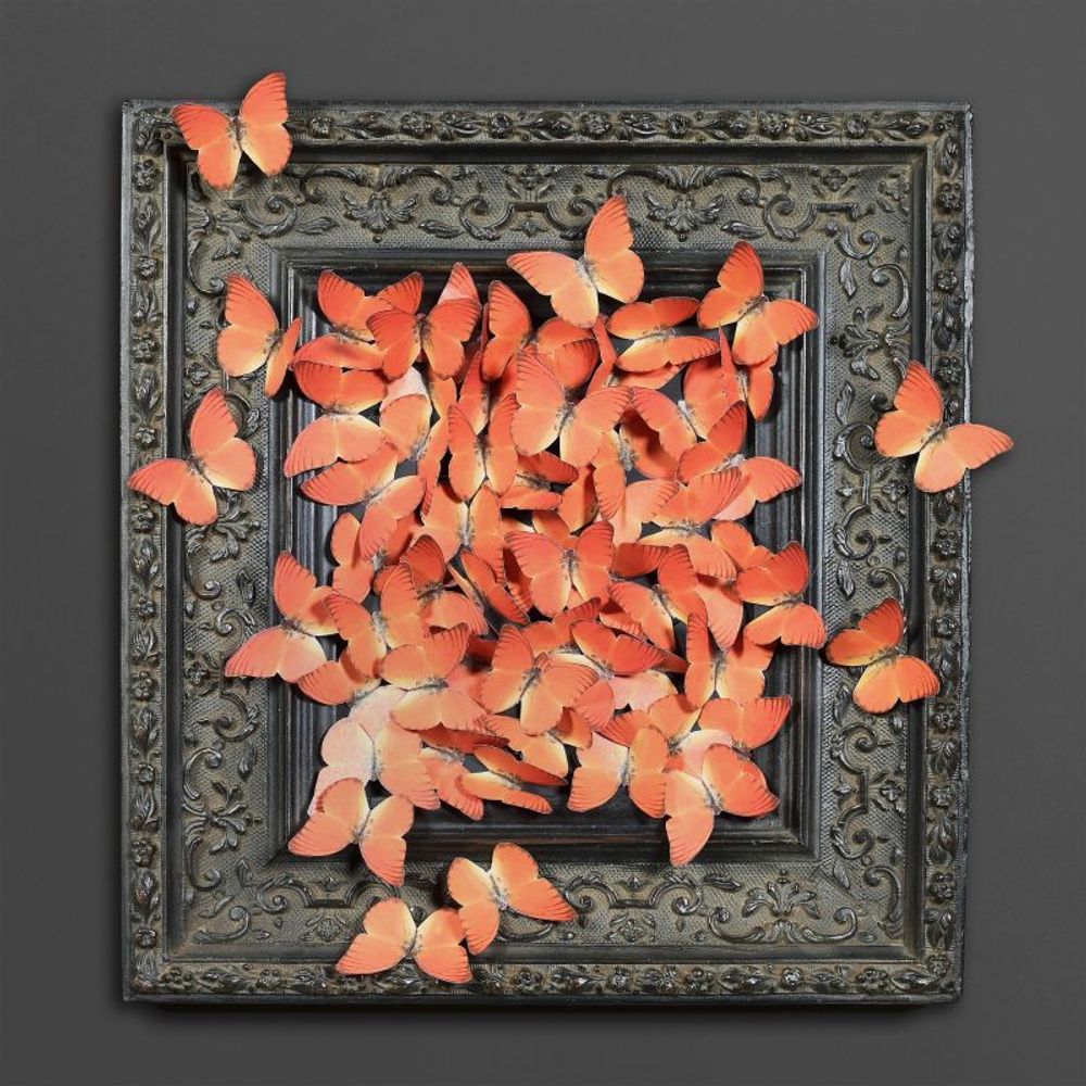 Decorative objects - POETIC CURIOSITIES - ATELIERS C&S DAVOY