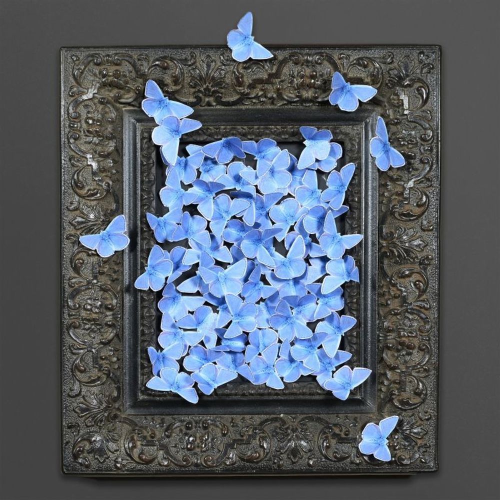 Decorative objects - POETIC CURIOSITIES - ATELIERS C&S DAVOY