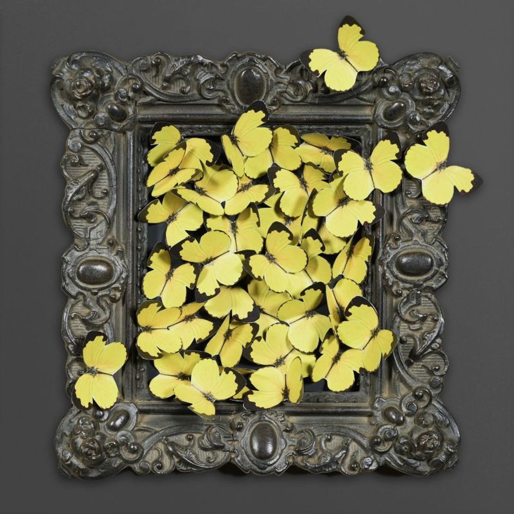 Decorative objects - POETIC CURIOSITIES - ATELIERS C&S DAVOY
