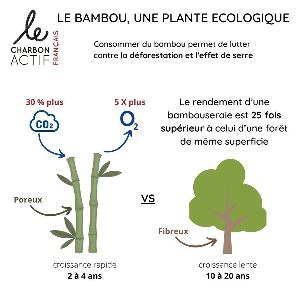 Couverts & ustensiles de cuisine - Charbon de bambou fin 100 % français 2 en 1 - LE CHARBON ACTIF FRANÇAIS