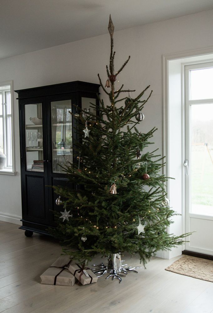 Objets design - Porte-sapin de Noël - Retour aux racines - GARDEN GLORY