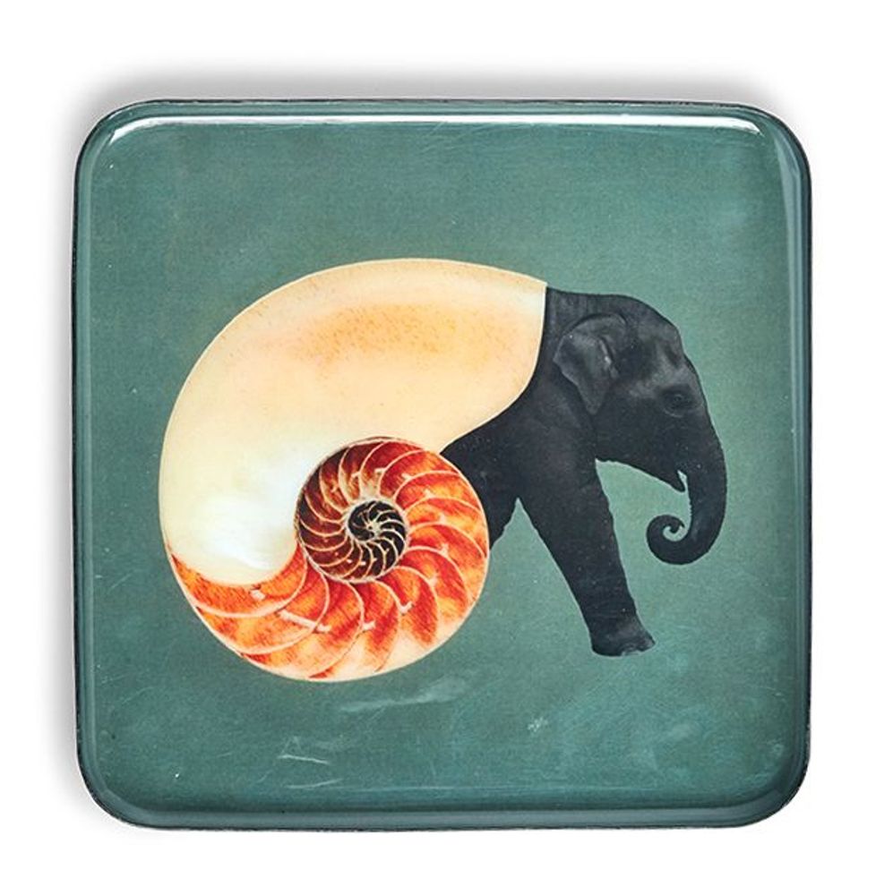 Plateaux - Vide-poches carrés Curiosito - GANGZAÏ DESIGN
