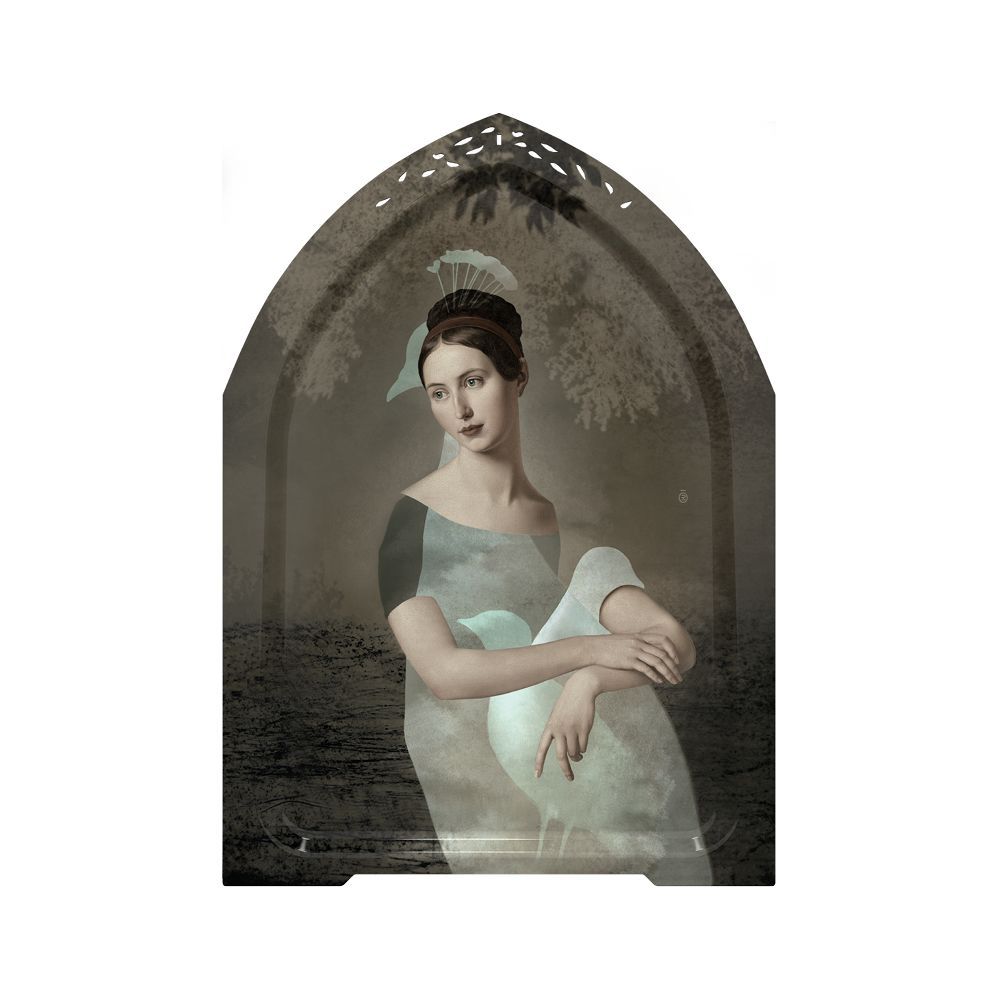 Plateaux - Paloma - Plateau Mural - IBRIDE