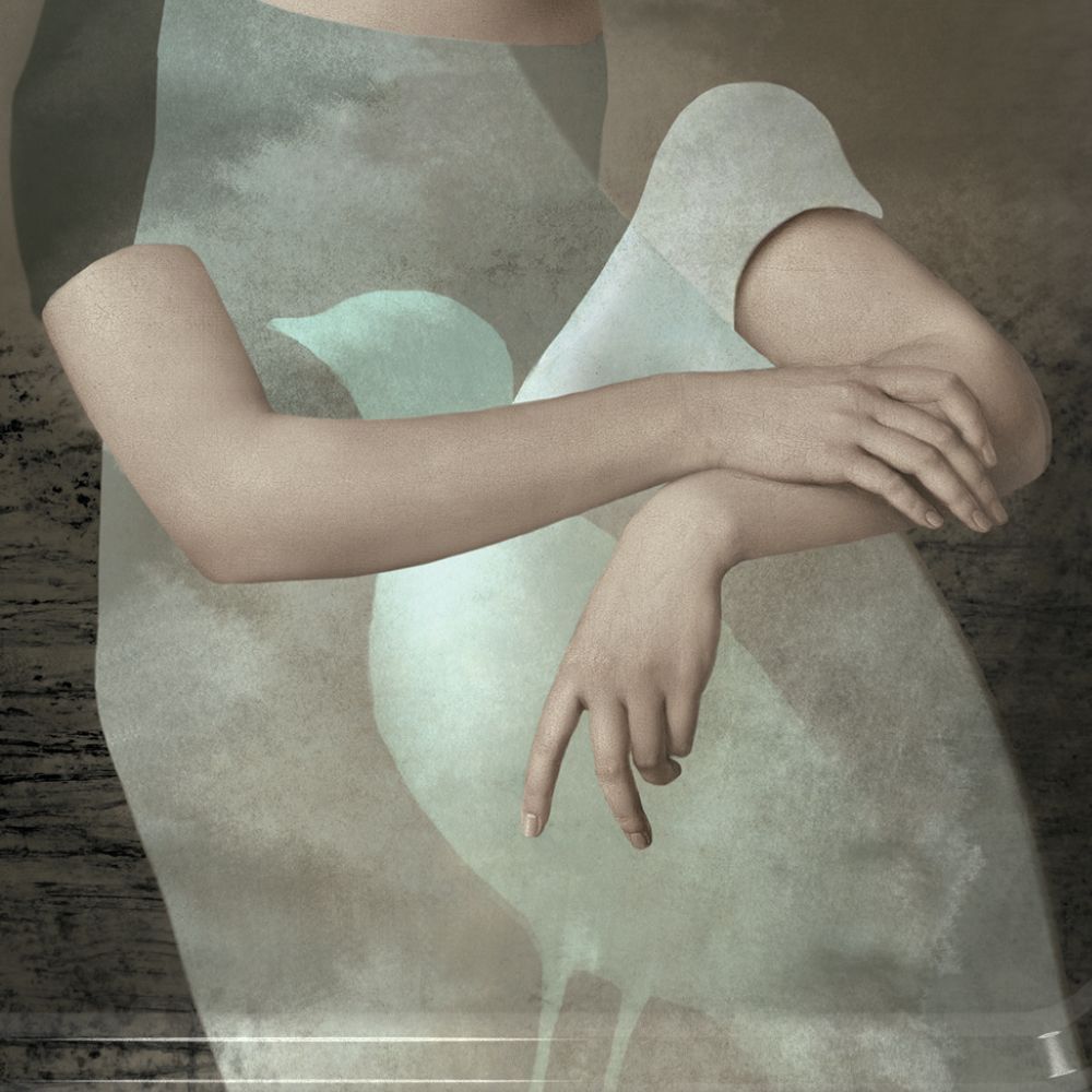 Plateaux - Paloma - Plateau Mural - IBRIDE