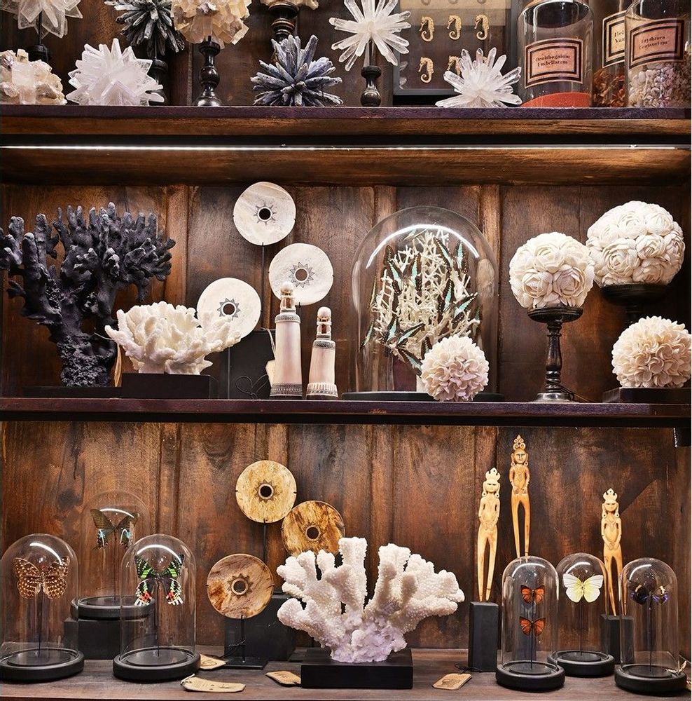 Sculptures, statuettes and miniatures - NATURAL CURIOSITIES - ATELIERS C&S DAVOY