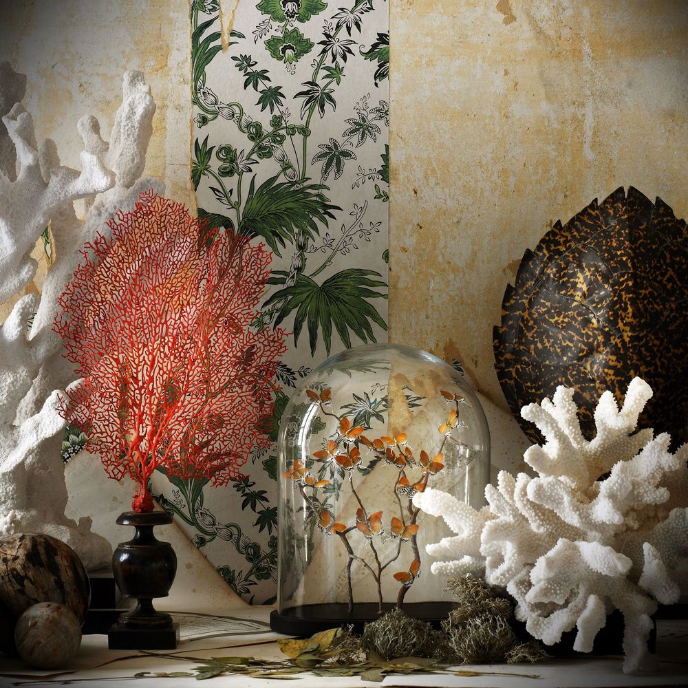 Sculptures, statuettes and miniatures - NATURAL CURIOSITIES - ATELIERS C&S DAVOY
