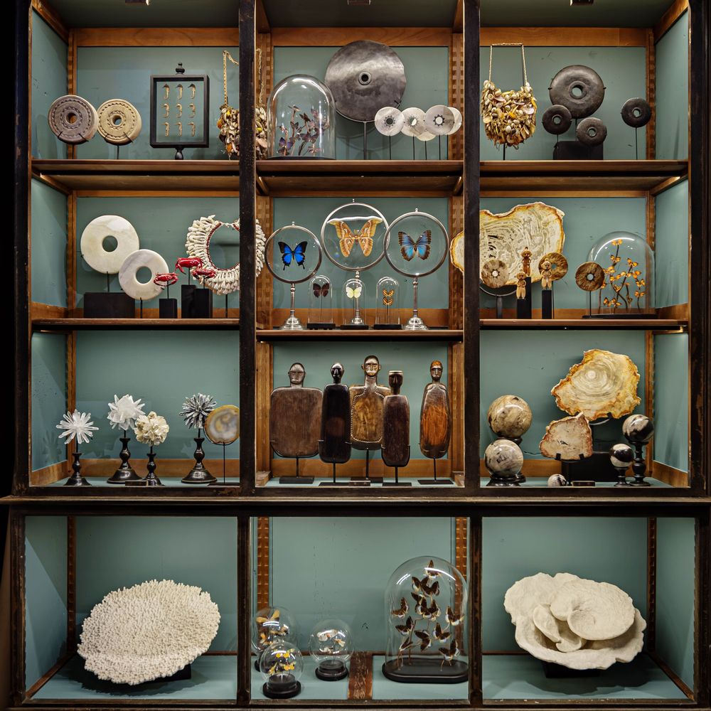 Sculptures, statuettes and miniatures - NATURAL CURIOSITIES - ATELIERS C&S DAVOY