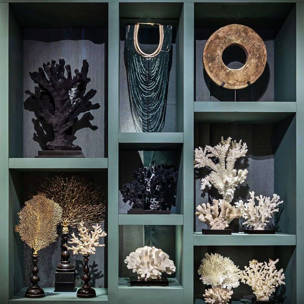 Sculptures, statuettes and miniatures - NATURAL CURIOSITIES - ATELIERS C&S DAVOY