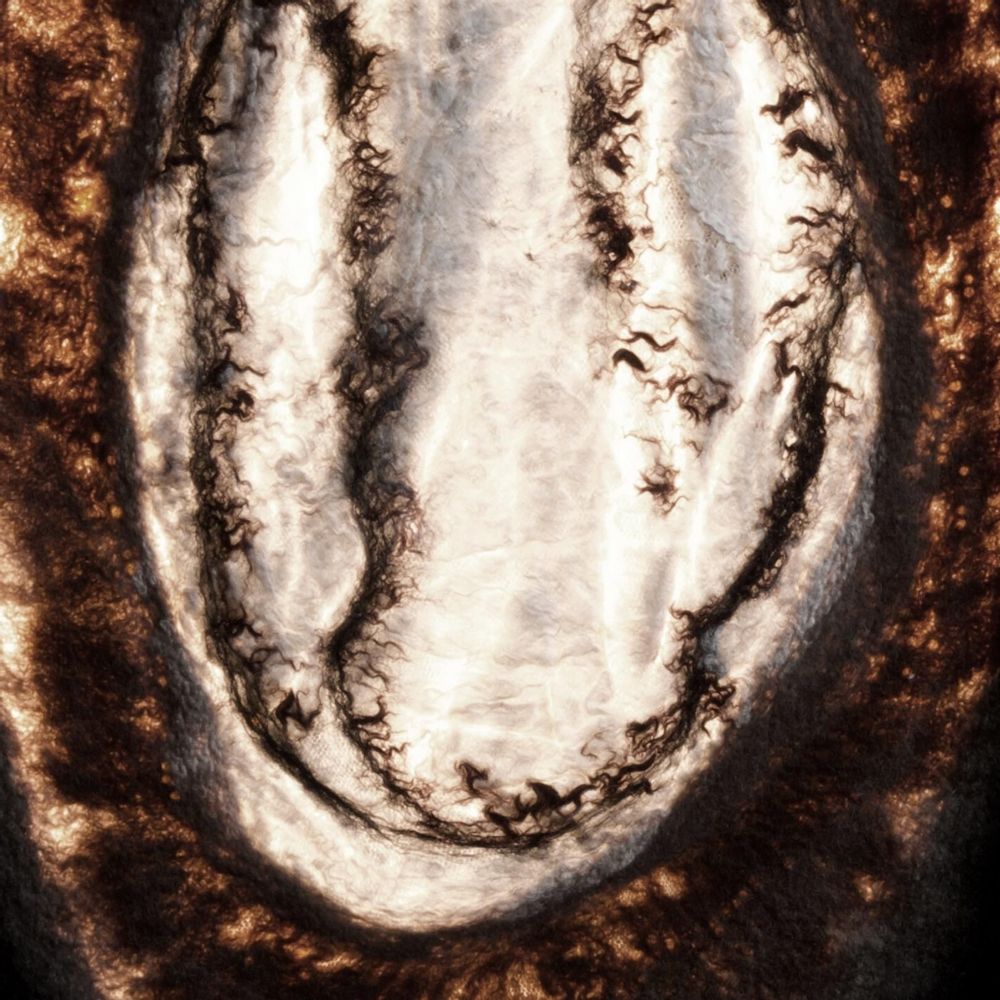 Objets de décoration - GÉODE Lampe à poser "Agate" - MURIEL UGHETTO