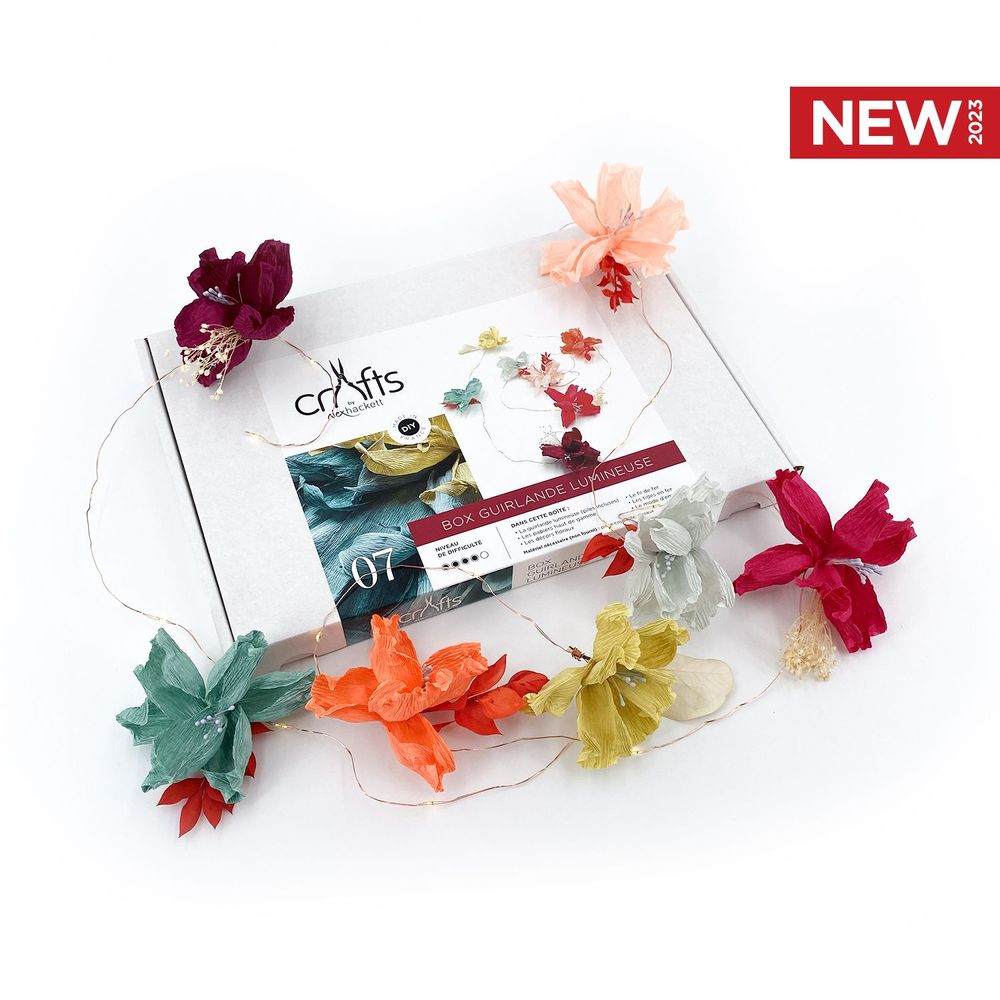 Objets de décoration - NOUVEAUTÉS 2023 - ALEX HACKETT