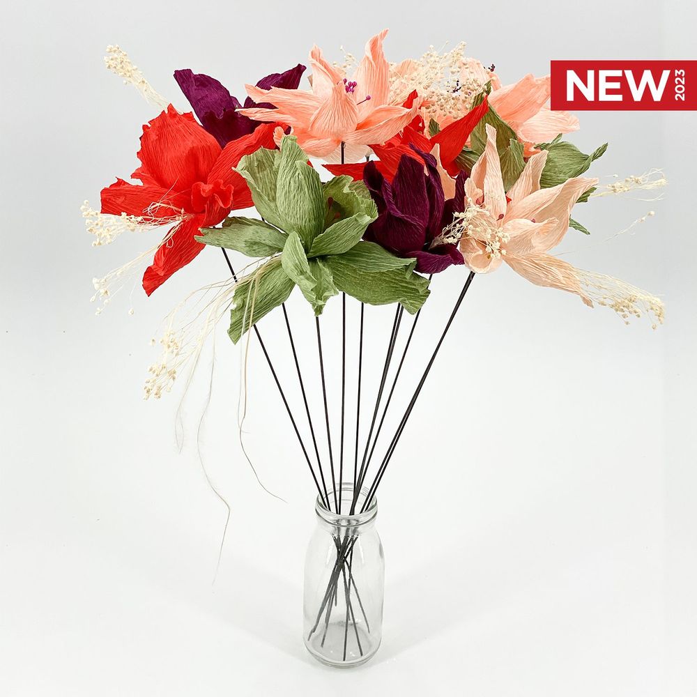 Objets de décoration - NOUVEAUTÉS 2023 - ALEX HACKETT