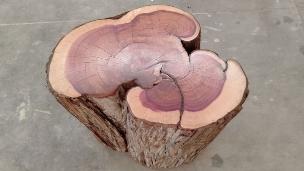 Tables de nuit - Table d'appoint Juniper - SINTALA