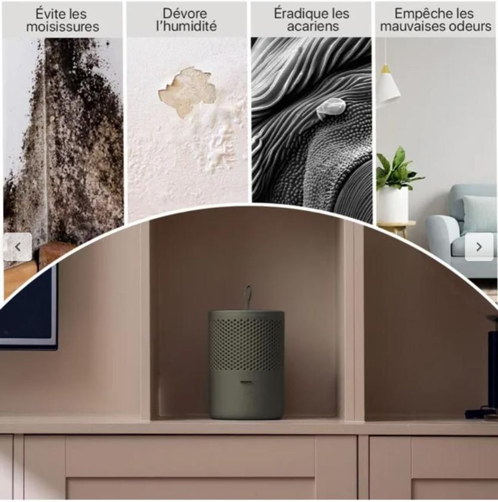 Home fragrances - Absodry Duo Family Moisture Absorber - EVERBRAND SWEDEN