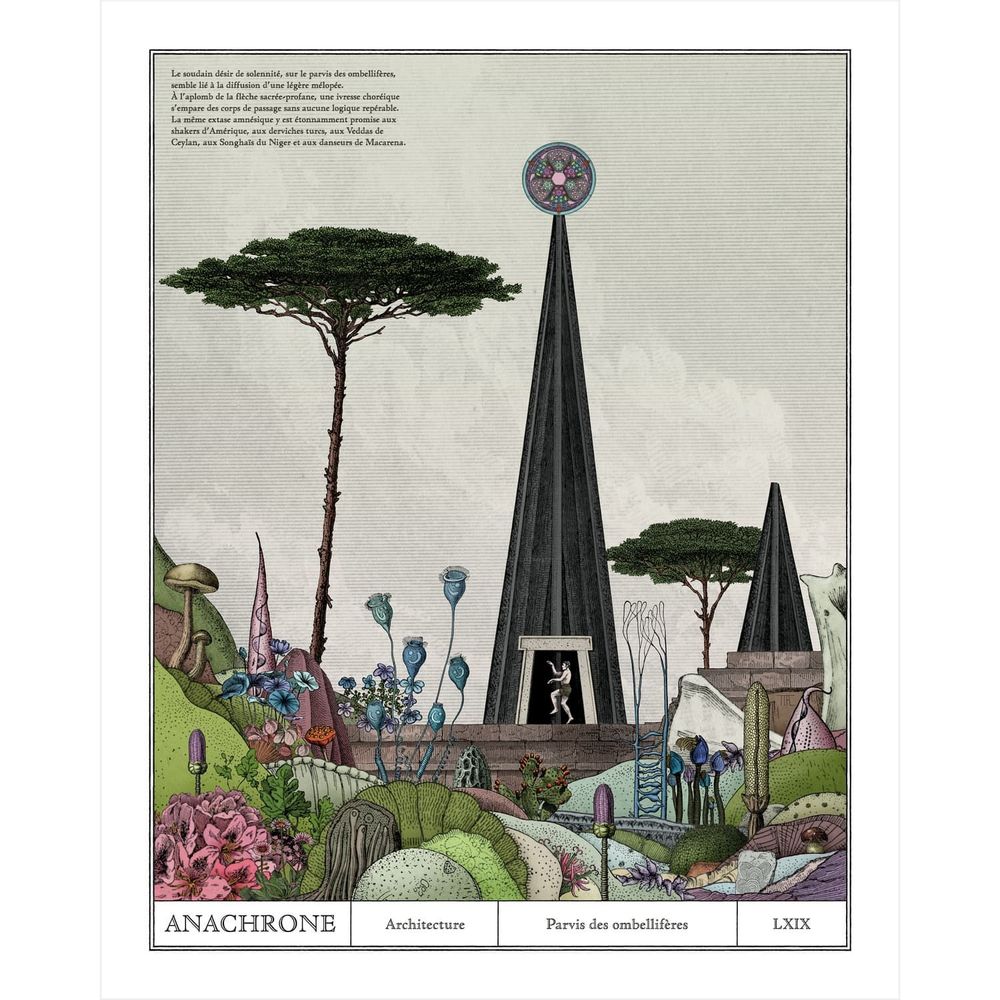 Poster - Artist poster - Parvis des ombelliferes - ANACHRONES