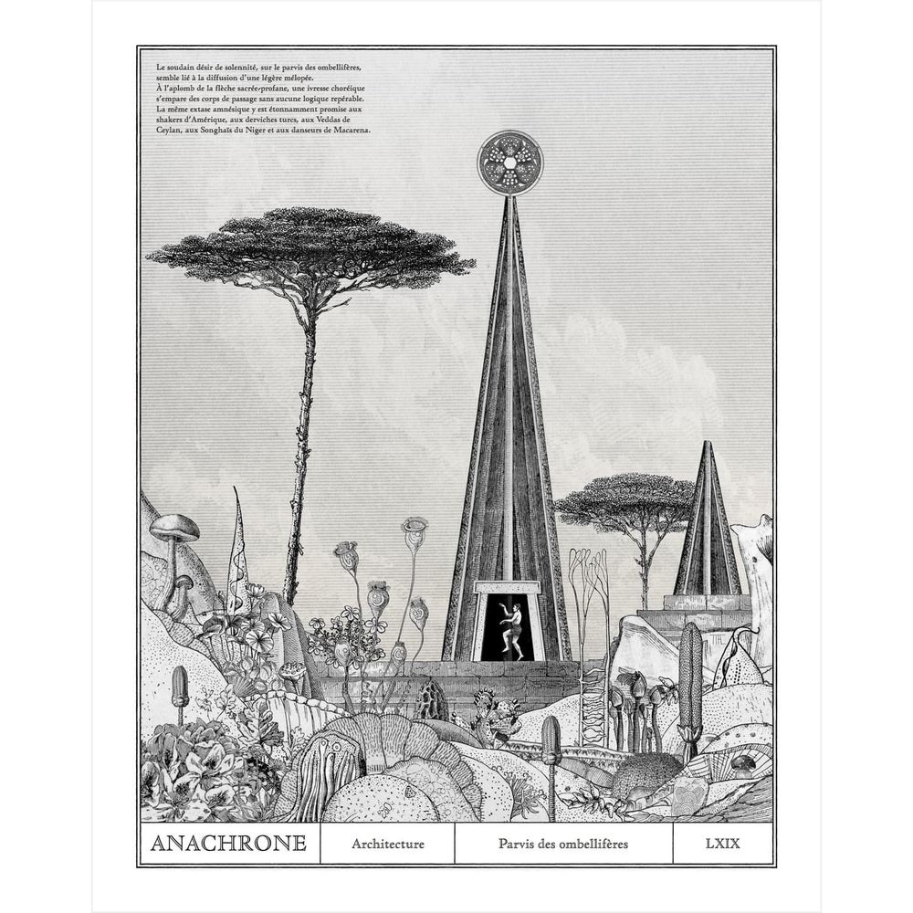 Poster - Artist poster - Parvis des ombelliferes - ANACHRONES