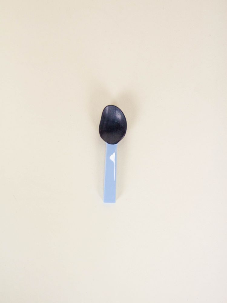 Kitchen utensils - Salt spoon set Bourgeon (set of 6) - L INDOCHINEUR X RIVÊT