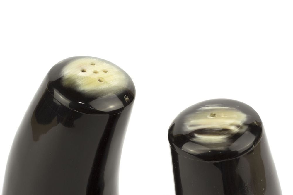 Couverts & ustensiles de cuisine - Salière et poivrière en corne - L INDOCHINEUR X RIVÊT