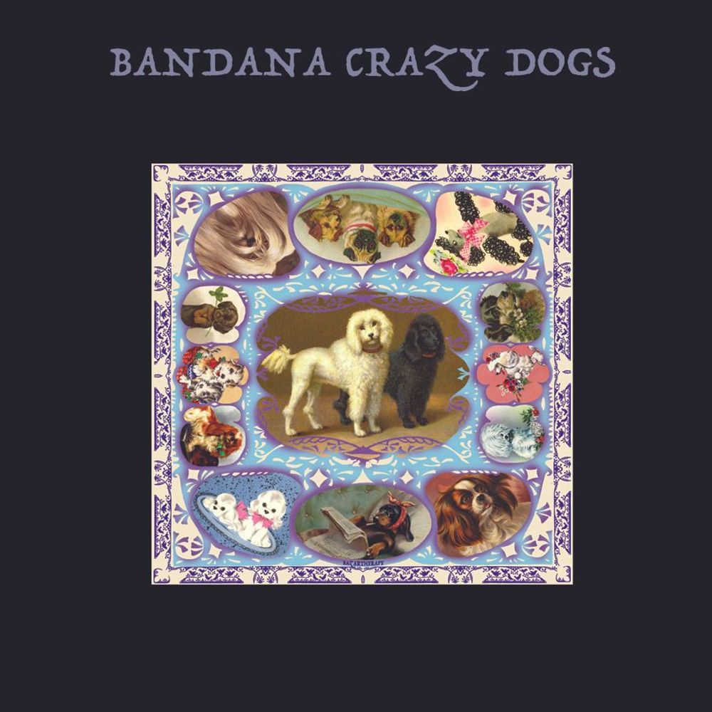 Scarves - PRINTED BANDANAS - BAZARTHERAPY EDITION