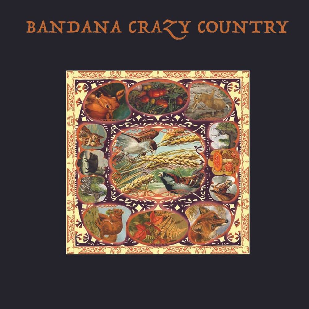 Scarves - PRINTED BANDANAS - BAZARTHERAPY EDITION