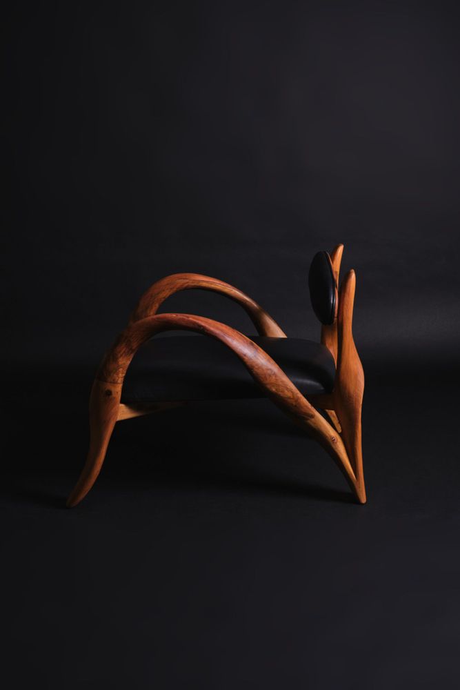 Fauteuils - AGDAL - Fauteuil royal - CALLITRIS
