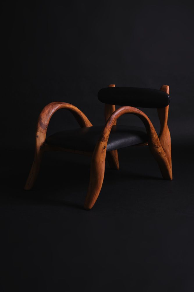 Fauteuils - AGDAL - Fauteuil royal - CALLITRIS