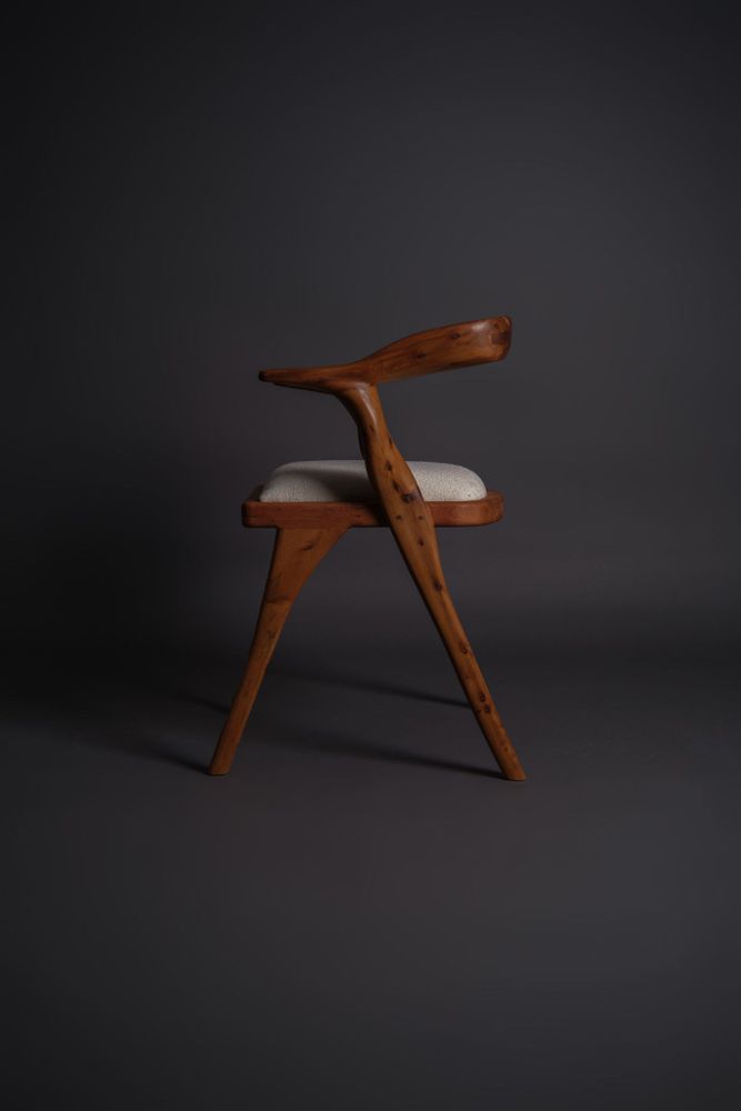 Chaises - YINIS - Chaise en bois de thuya - CALLITRIS