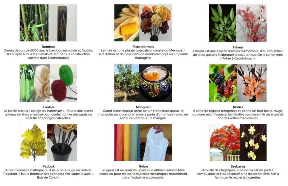 Floral decoration - ROSEBUSH - FG IMPORTS