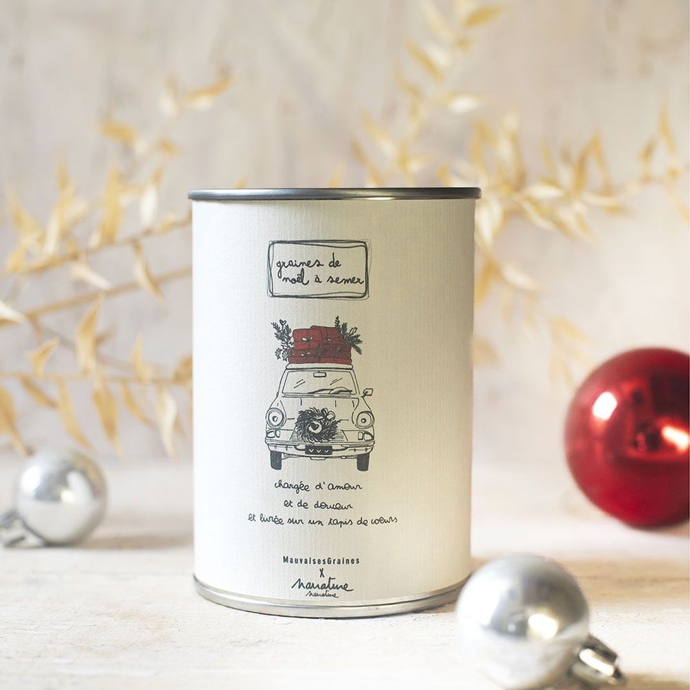 Cadeaux - Kit à semer "une année chargée d'amour" - MAUVAISES GRAINES