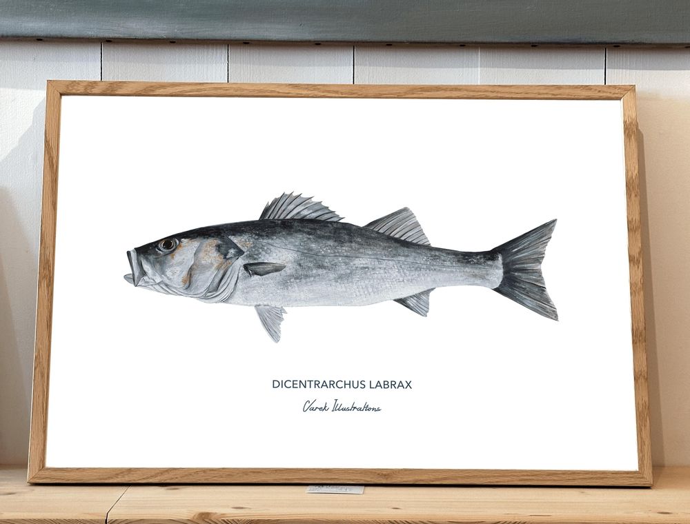 Poster - Poster - The Bar - reproduction on art paper - VAREK ILLUSTRATIONS