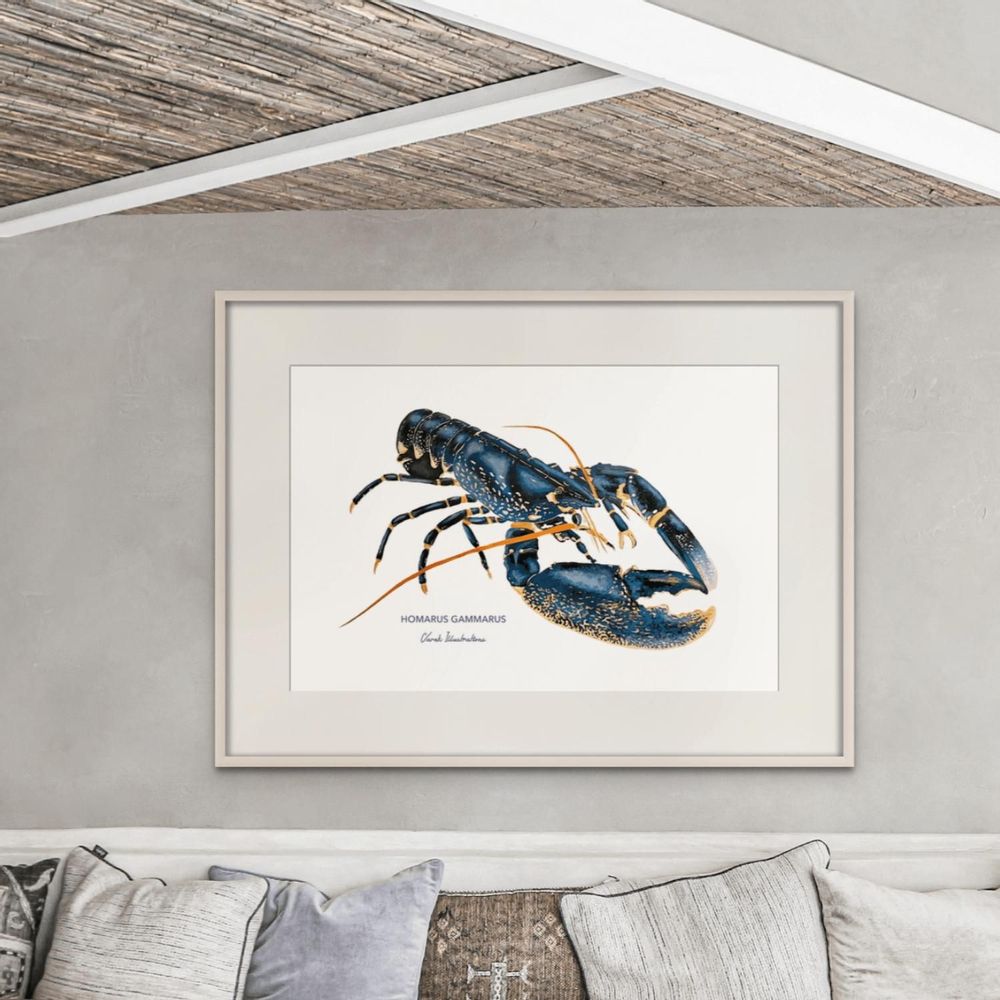 Affiches - Affiche Le Homard - Reproduction sur papier d'art - VAREK ILLUSTRATIONS