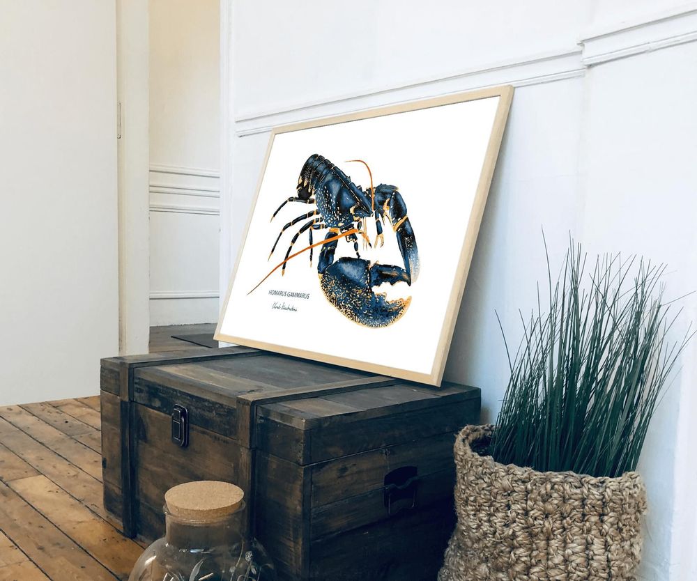 Affiches - Affiche Le Homard - Reproduction sur papier d'art - VAREK ILLUSTRATIONS