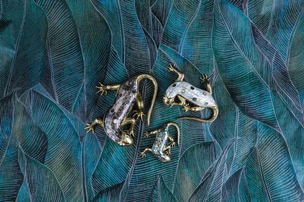 Caskets and boxes - Salamander mother-of-pearl & recycled brass box - WILD BY MOSAIC