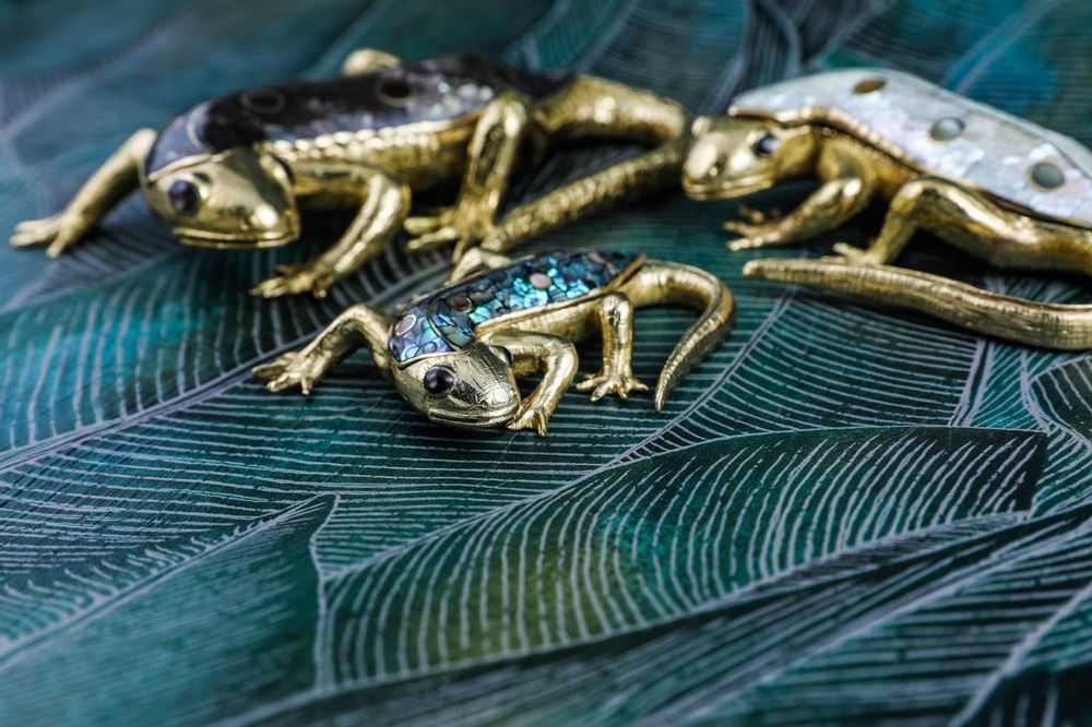 Caskets and boxes - Salamander mother-of-pearl & recycled brass box - WILD BY MOSAIC