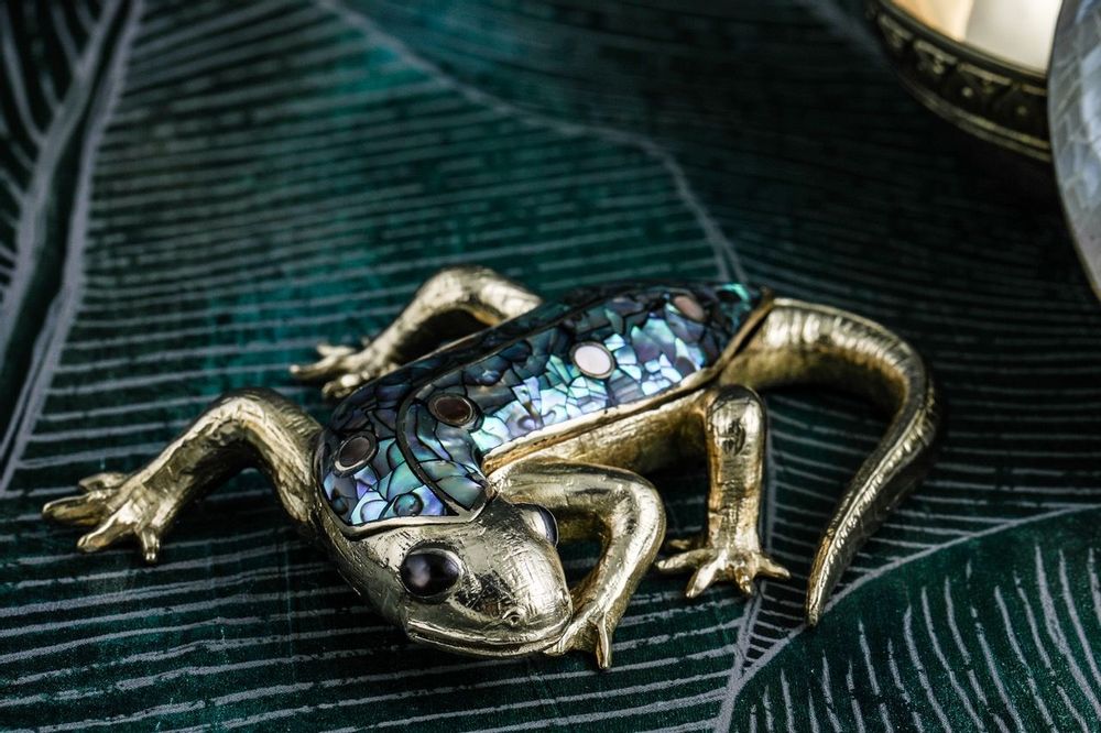 Caskets and boxes - Salamander mother-of-pearl & recycled brass box - WILD BY MOSAIC