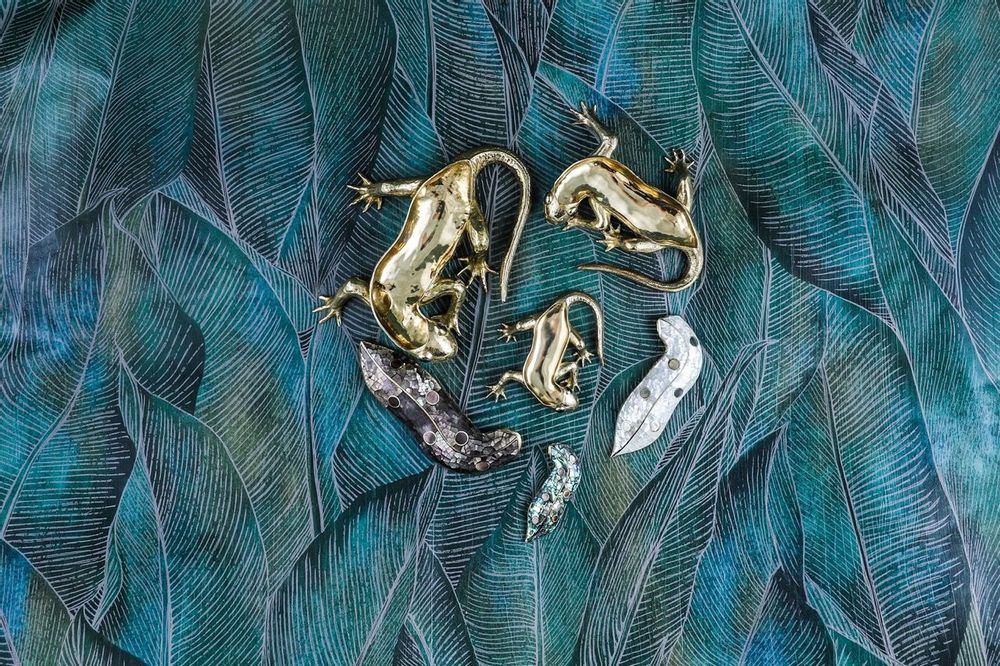 Caskets and boxes - Salamander mother-of-pearl & recycled brass box - WILD BY MOSAIC