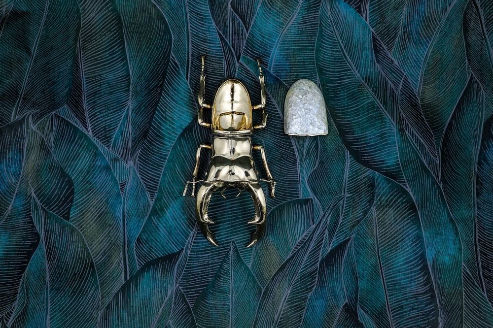 Decorative objects - Lucane Scarab box, natural mother-of-pearl mosaic and recycled brass - WILD BY MOSAIC