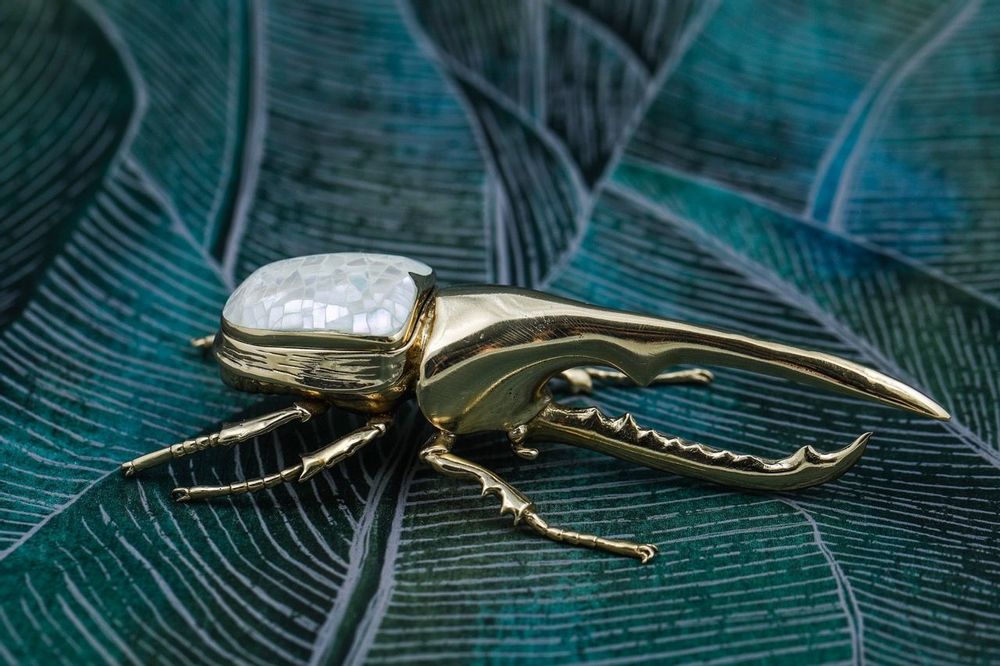 Decorative objects - Rhino beetle box natural mother-of-pearl & recycled brass - WILD BY MOSAIC