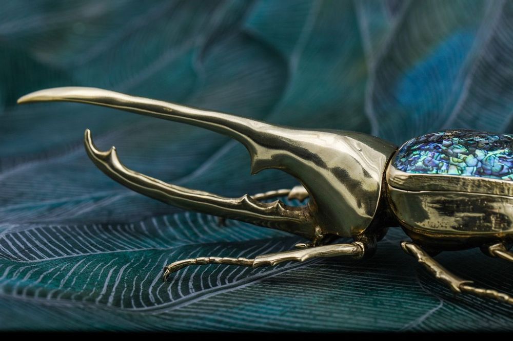 Decorative objects - Rhino beetle box natural mother-of-pearl & recycled brass - WILD BY MOSAIC