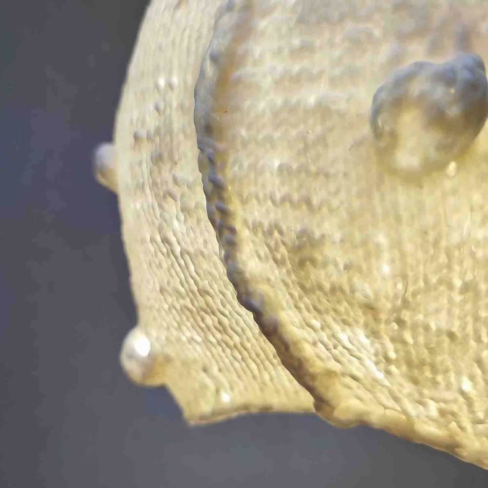 Objets design - Abat-jour SOLENA. - SOPHIE LULINE CÉRAMISTE