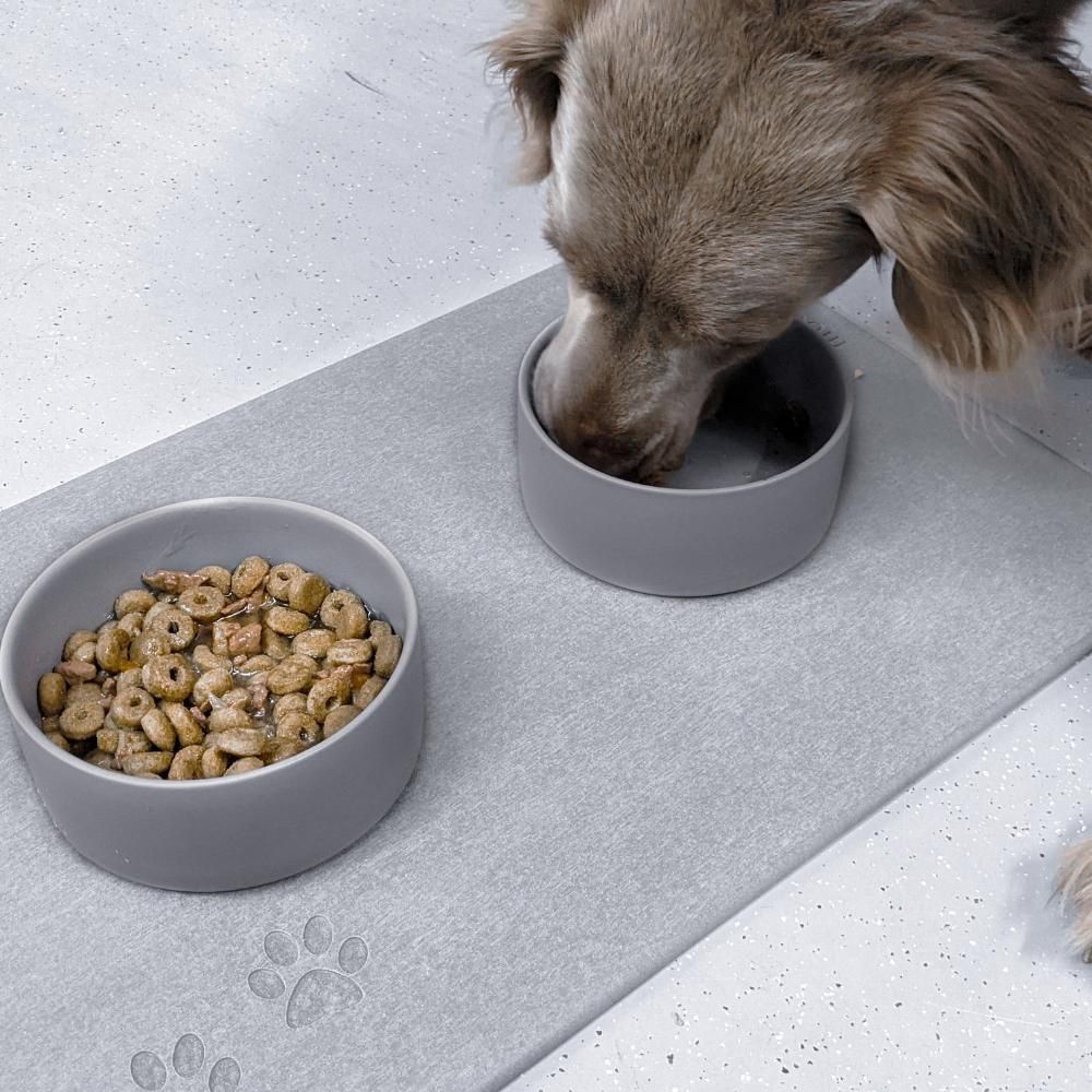 Outdoor decorative accessories - CERAMIC BOWL for gray round cat dogs - OSNA
