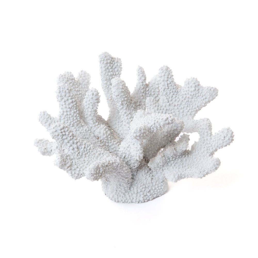 Other wall decoration - CORAIL TO PUT WHITE - - AMADEUS