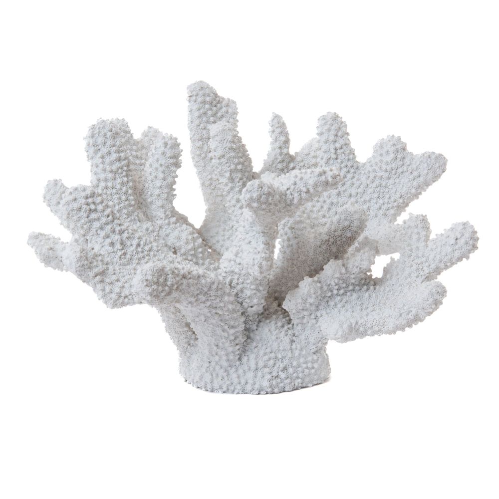 Other wall decoration - CORAIL TO PUT WHITE - - AMADEUS