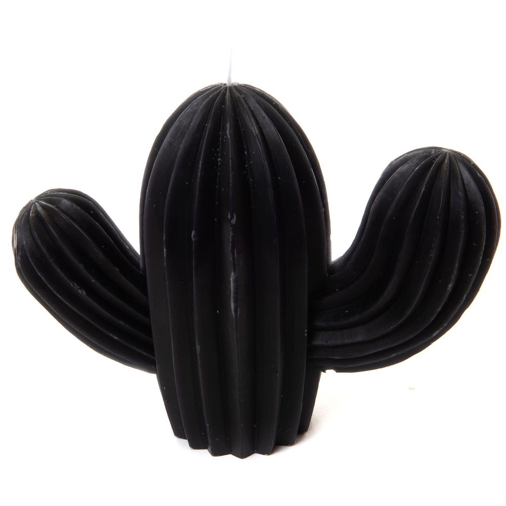 Bougies - BOUGIE CACTUS NOIRE H15 - - AMADEUS