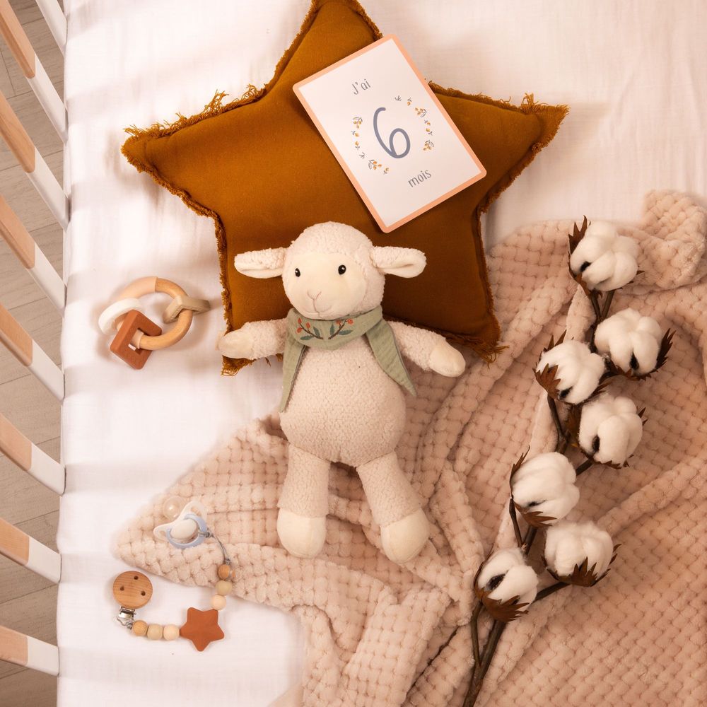 Peluches - LOUISON LE MOUTON - - AMADEUS LES PETITS