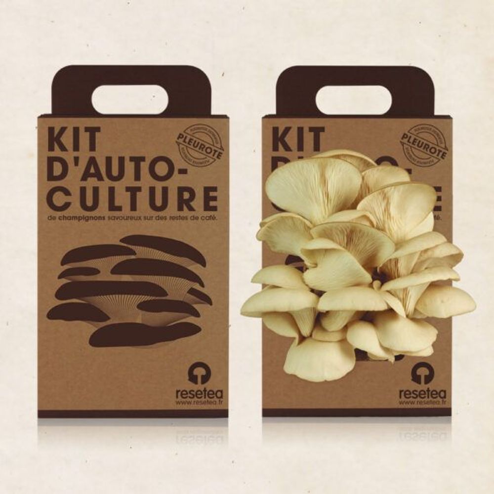 Cadeaux - Kit de auto-culture de délicieux champignons - RESETEA
